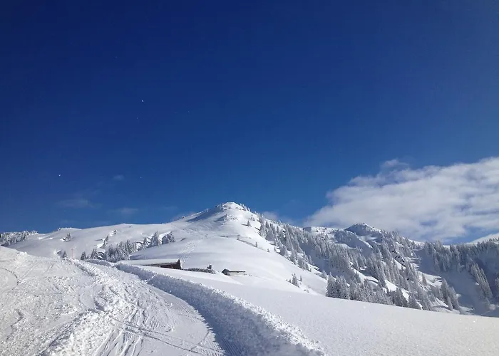 Apartment Ws-appartement Kitzbuhel