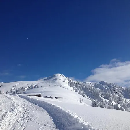 Apartamento Ws-appartement Kitzbühel